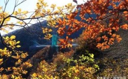 马上又是深秋，在北京这个季节哪里的风景最美？您最喜欢哪里,秋天北京哪里好玩的景点