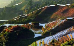 中国最大村庄在哪里（中国有60%基本农田是梯田，这是真的吗）