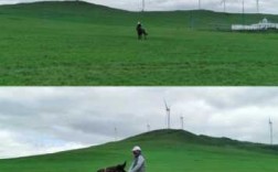 中国有什么地方能骑马,骑马去哪里好一点