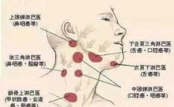 颈部淋巴是什么原因导致的,脖子淋巴结在哪里部位图片