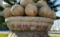 商洛为什么被誉为“核桃之乡”,中国哪里的核桃最好吃
