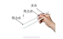 筷子的支点在哪里（筷子的支点在哪里示意图）