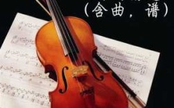 没有任何基础想先自学小提琴，有什么资源或渠道吗,哪里学小提琴好