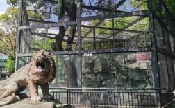厦门中山公园动物园和儿童岛能在网上购票吗,厦门动物园在哪里免费开放的