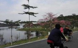 松山湖是个怎样的地方,广州哪里好玩的景点推荐免费