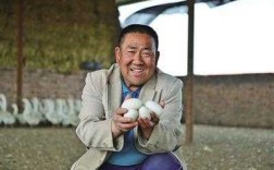 河南濮阳大叔养3500只鹅，每天早晨遍地鹅蛋，你怎么看养殖业,濮阳哪里有鸡笼卖