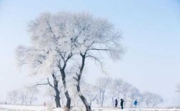 你认为中国人必须去的十大旅游景点是什么地方,辽宁冬天去哪里旅游便宜又好玩