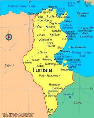 突尼斯在哪里「突尼斯地图位置」-图3
