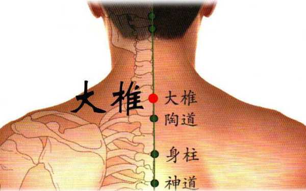 人体的大椎在哪个部位-图1
