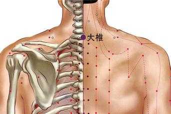 人体的大椎在哪个部位-图3