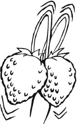 草莓长在哪里「草莓长在哪里图片简笔画」-图3