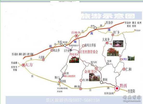 百里杜鹃在贵州哪里地图-图3