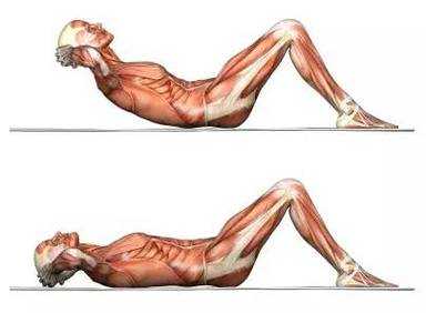 仰卧起坐锻炼哪里的肌肉「仰卧起坐锻炼什么部位」-图1