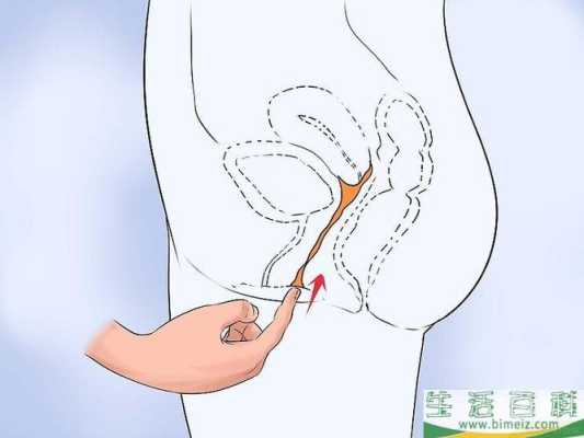 女性尿道在哪里-图3