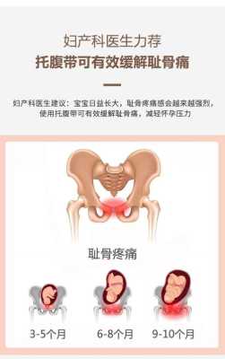孕妇耻骨在哪里图片「孕妇耻骨疼一般发生在几个月」-图1
