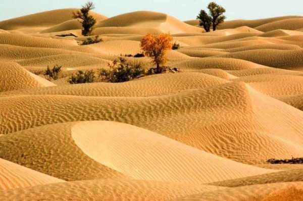 中国最大的沙漠是哪里（中国最多的沙漠）-图3