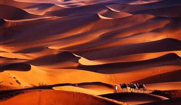 中国最大的沙漠是哪里（中国最多的沙漠）-图2