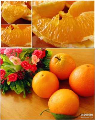 哪里的橙子好吃（哪些地区的橙子比较好吃）-图2