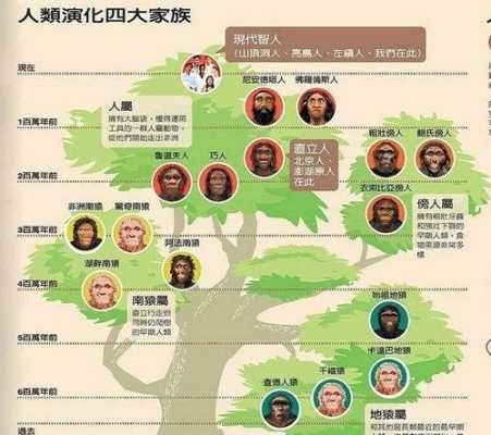 中国人究竟起源于哪里,中国人起源于哪里人-图1