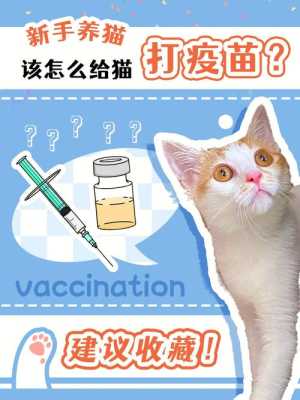 猫要打多少种疫苗,猫打疫苗在哪里打,收费吗-图2