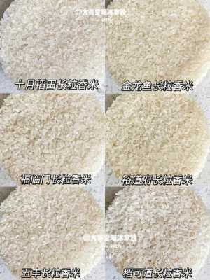 哪里的大米最好（哪里的大米最好吃）-图1