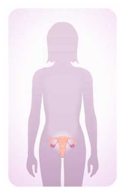 阴道、子宫的位置在哪里,新手找不到入口怎么办教程图片-图3