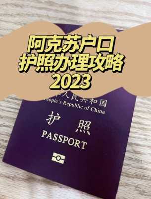 北京市朝阳区护照办理地点在哪儿,北京去哪里办护照最快-图2