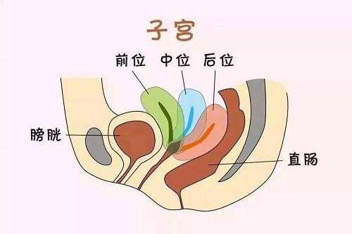 月经从哪里排出（宫颈管内有淤血月经会使其排出吗）-图2