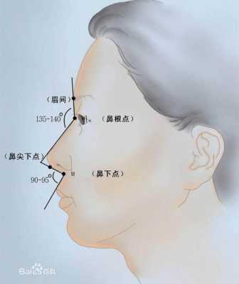 鼻子👃上的山根在哪里,鼻梁和鼻根在哪里-图2