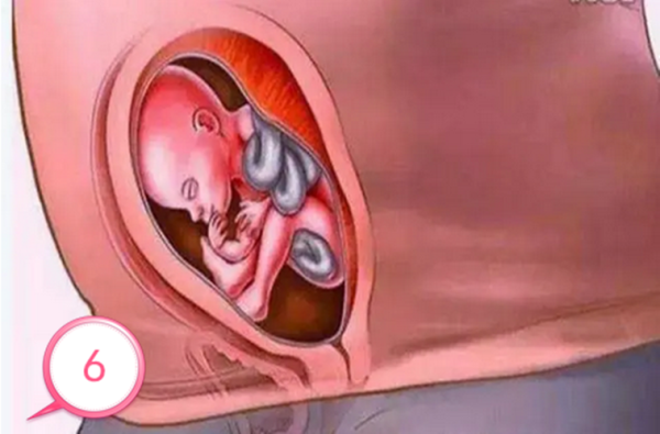 孩子到底是怎样孕育出来的,女性生小孩从哪里生出来-图3