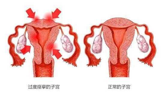 月经的血是哪里来的（为什么女人会有月经）-图3
