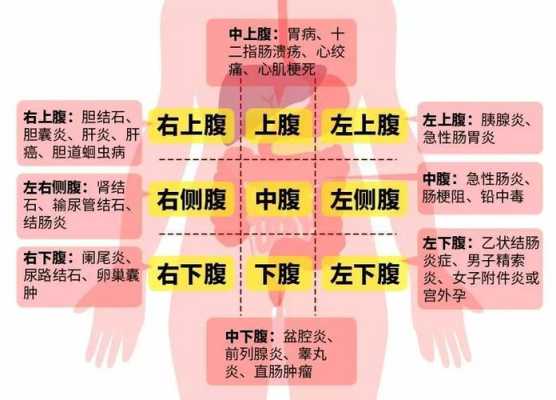 肚脐上面是什么器官,一张图看懂肚子痛位置和原因-图1