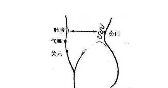 肚脐通向哪里（肚脐通向哪里图解）-图3