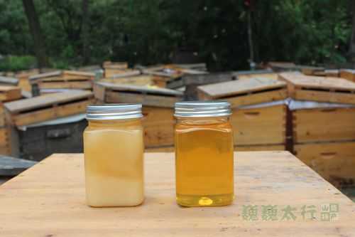 中国最好的蜂蜜产自哪里,中国哪里的蜂蜜最好最纯-图3
