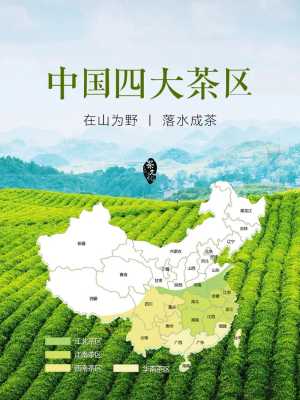 中国哪里产茶叶（中国的四大名茶和产地）-图2