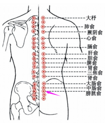 膀胱炎艾灸哪里（膀胱炎艾灸哪里）-图2