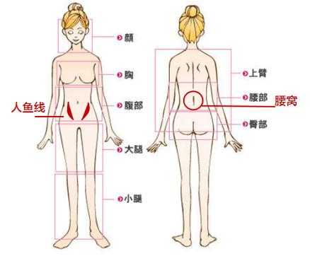 人的腰部在哪里（后卫与后腰的区别）-图1
