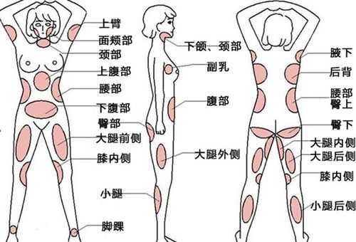 人的腰部在哪里（后卫与后腰的区别）-图2