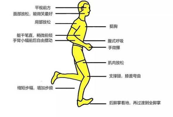 慢跑锻炼哪里的肌肉（慢跑能跑成肌肉腿吗）-图3
