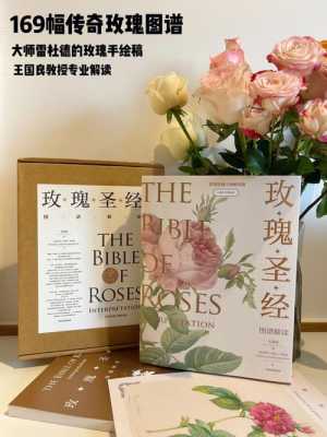 广州哪里有全版圣经卖？多少钱,哪里有卖圣经的-图3