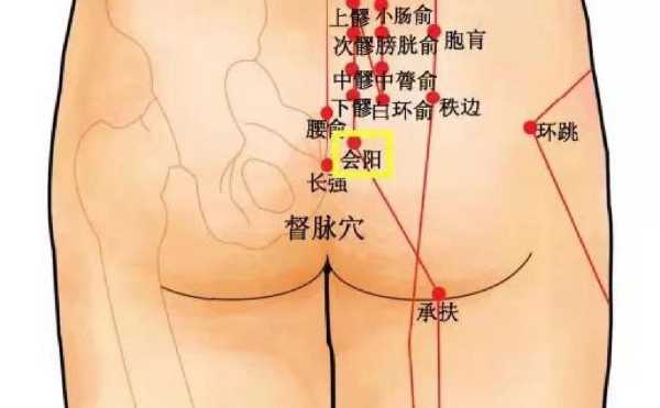后腰下部痛是什么原因,会阳是什么位置图片-图3
