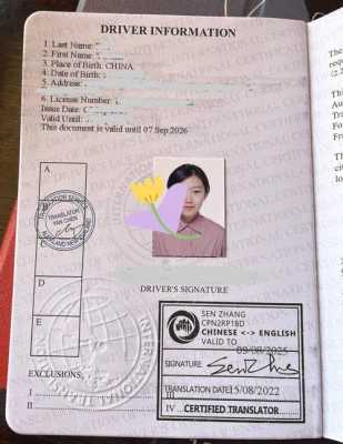 国际驾照去哪里申请（国际驾照去哪里申请办理）-图3
