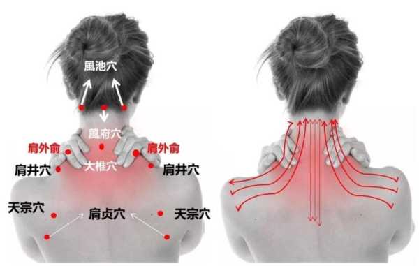 颈肩在哪里（颈肩在哪个位置）-图3