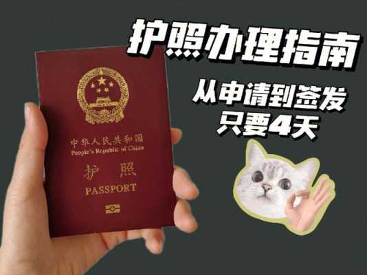 衢州办护照在哪里办（衢州办护照在哪里办理）-图1