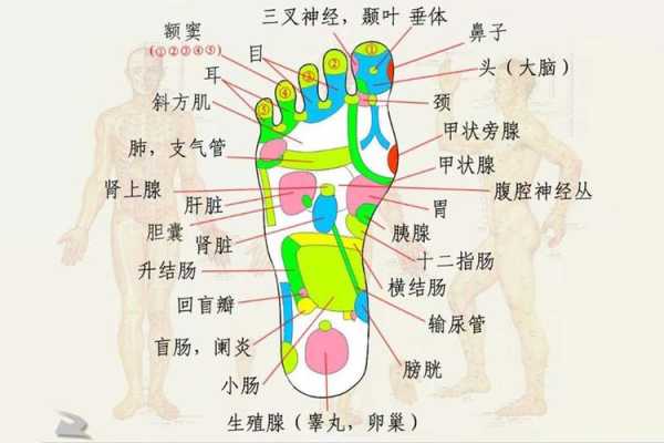 活动脚趾有对脑细胞受损恢复有好处吗,大脚趾的反射区是哪里疼-图1