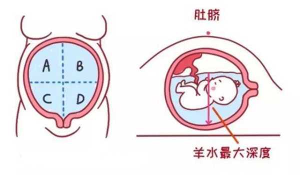 胎儿尿液排到哪里（胎儿尿液排到哪里去了）-图3