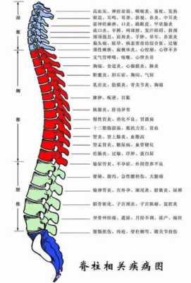 身体后背疼痛是什么原因呢,肺癌背部哪里疼-图2