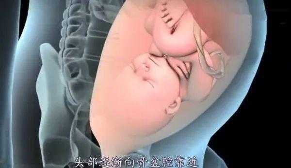 顺产孕妈进入产房，要经历怎样的过程才能生下宝宝,女人从哪里生孩子视频大全-图2