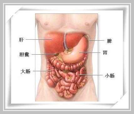 肝胆区在哪里（肝胆区在哪里图片）-图1